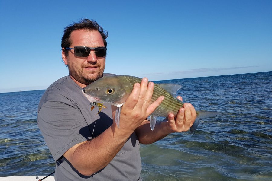 Franky goes to Bonefish Land