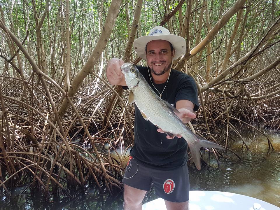 Babys Tarpons Guadeloupéens WATAFISH
