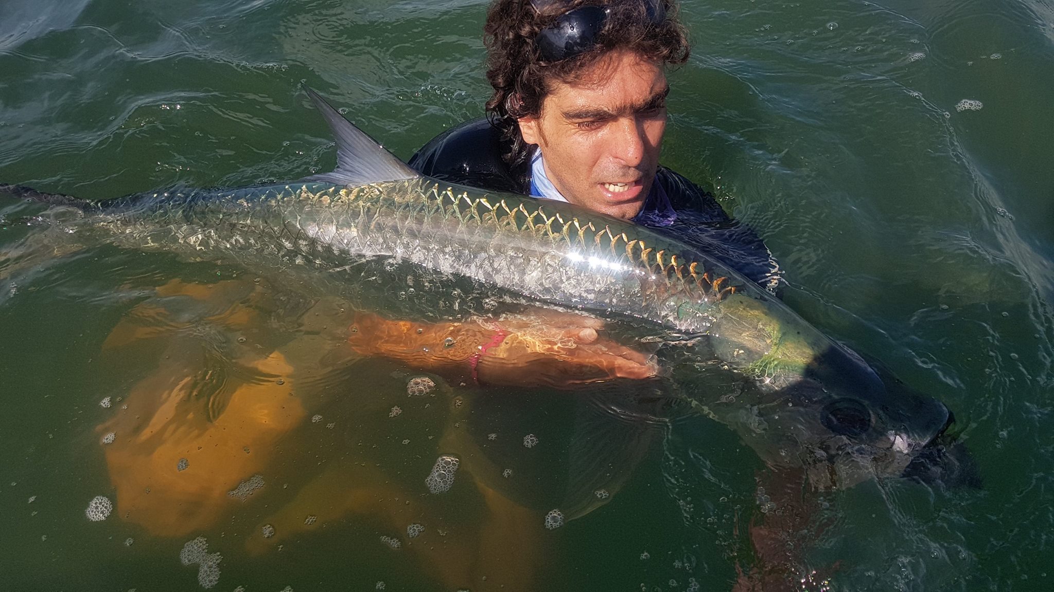Joli Tarpon en pêche Light