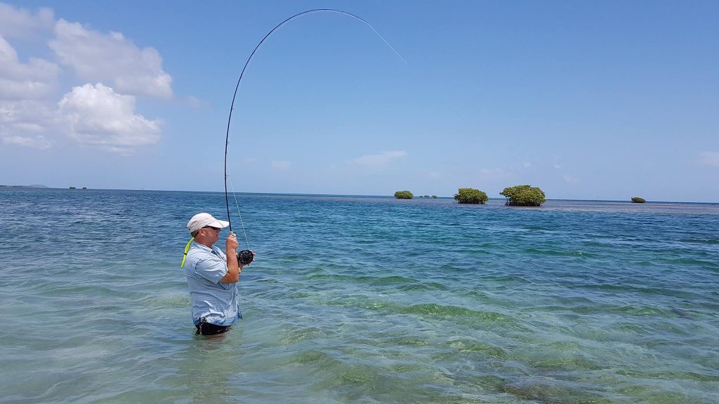 Fly Fishing / Pêche du Bonefish à la mouche en Guadeloupe