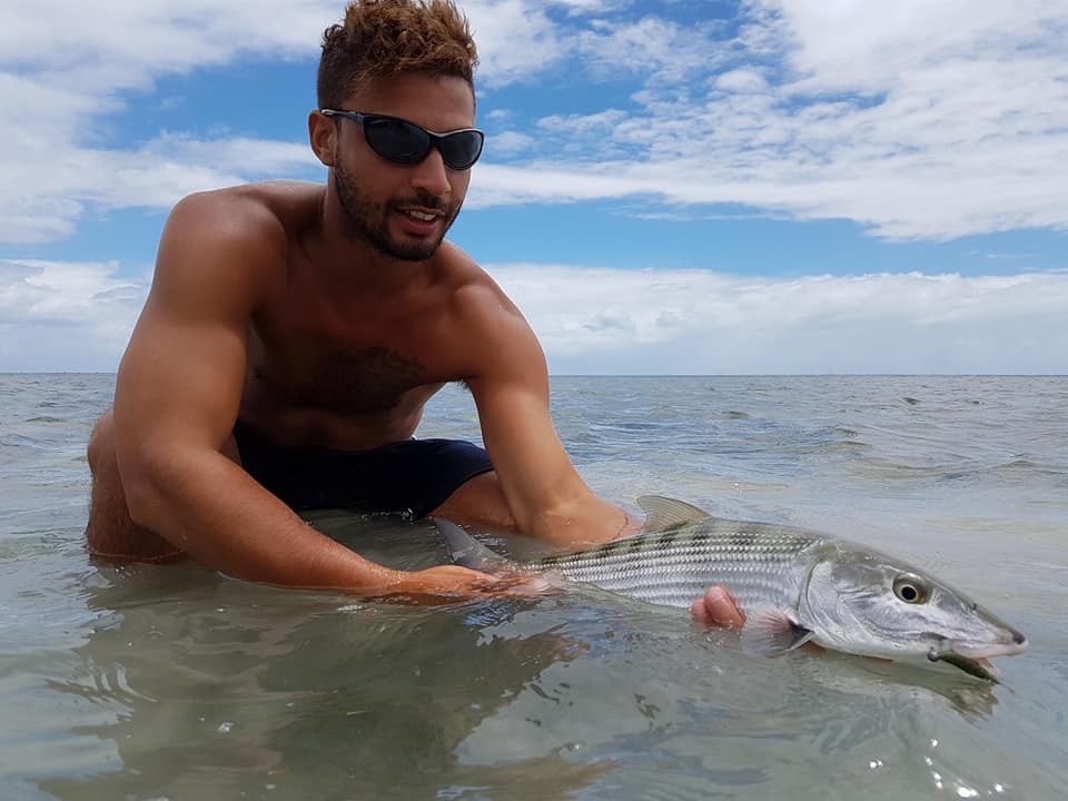 Gros poissons de Guadeloupe