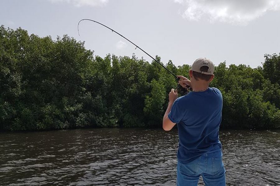 Pêche du Tarpon en Guadeloupe