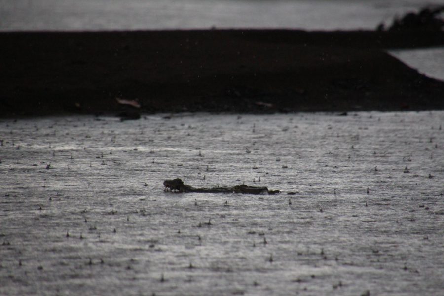 Voyage de pêche au Costa Rica
