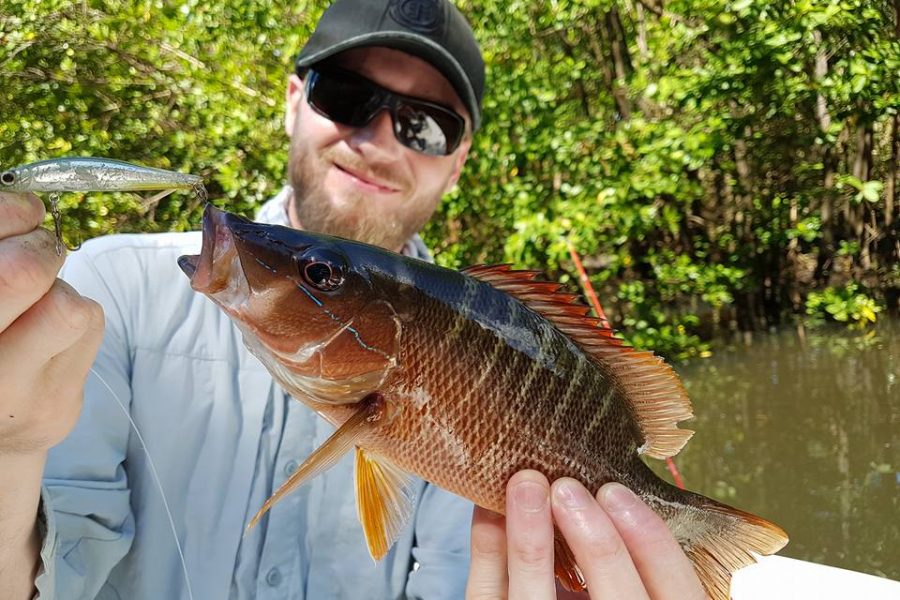 Une journée de pêche réussie à bord du SKIFF