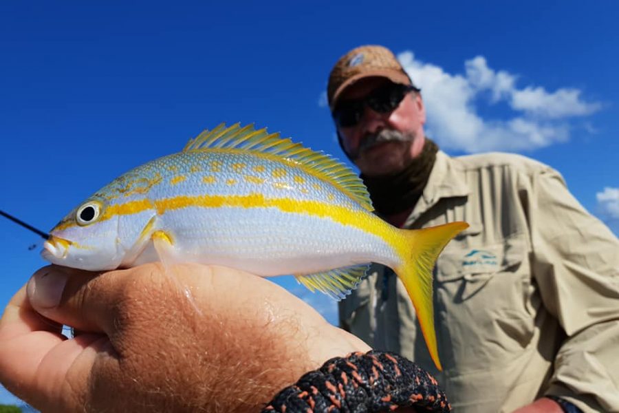 Quand le pêcheur s&rsquo;applique, les poissons rentrent !!