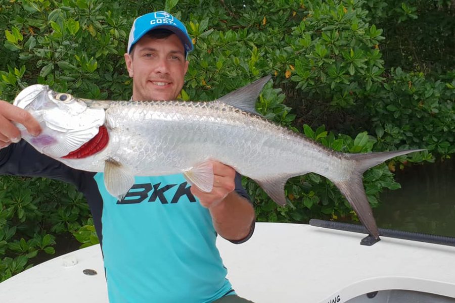 À la recherche des babys tarpons