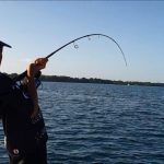 carangue au leurre en guadeloupe