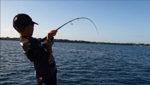 carangue au leurre en guadeloupe