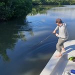 Poissons des Antilles