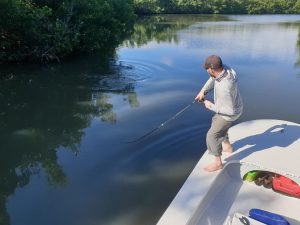Poissons des Antilles