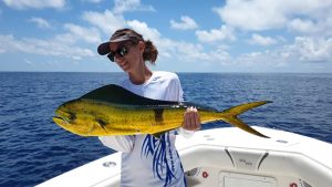 peche dorade coryphene guadeloupe