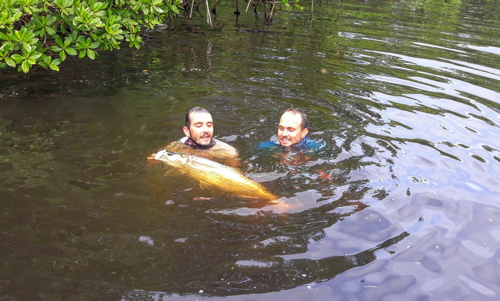 Baby tarpon avec Vincent