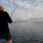 combat tarpon guadeloupe