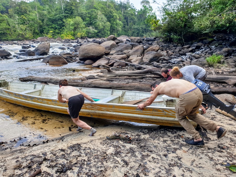 Pêche de l&rsquo;aimara en Guyane avec Fishare