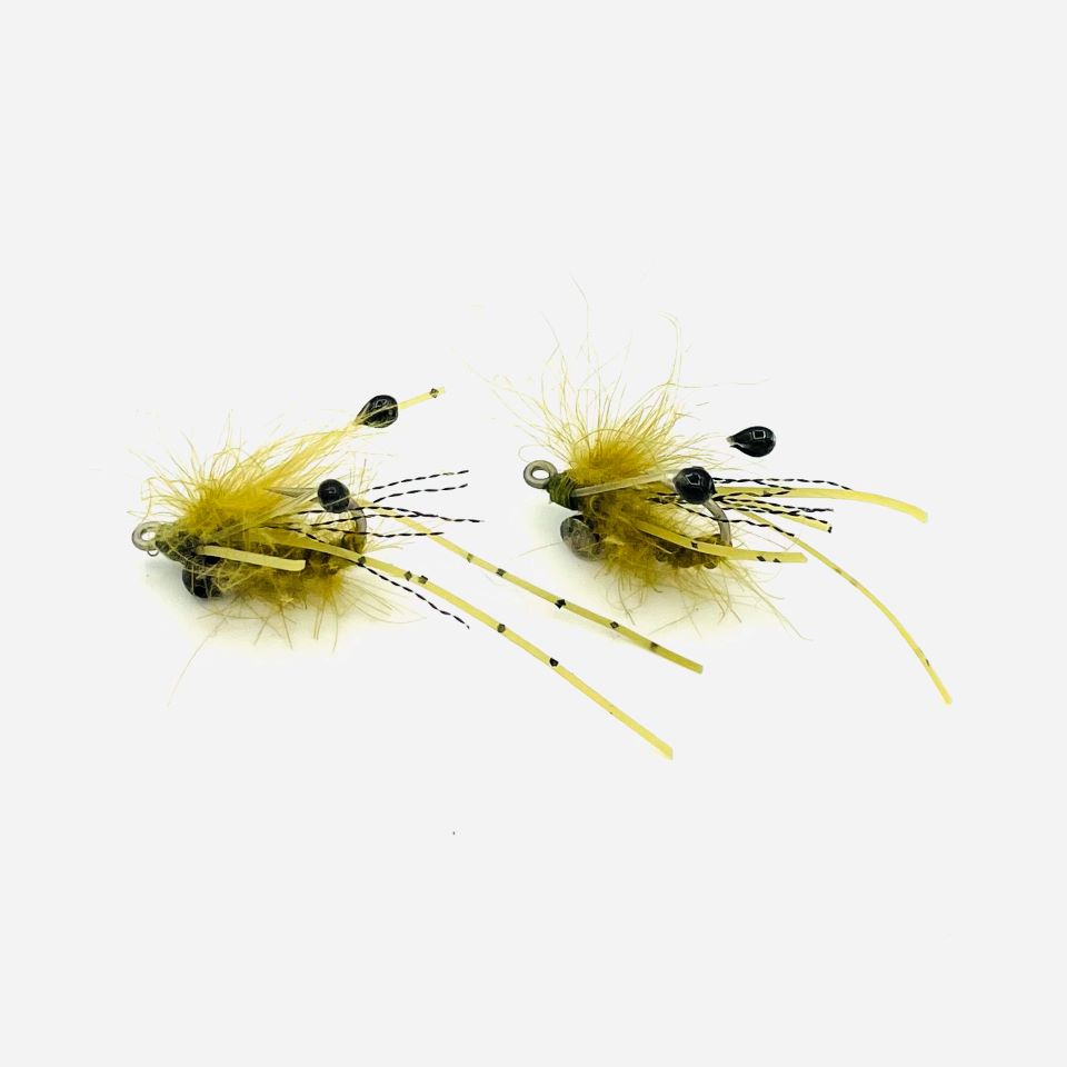 Mouche bernard cdc ghost olive exo guadeloupe
