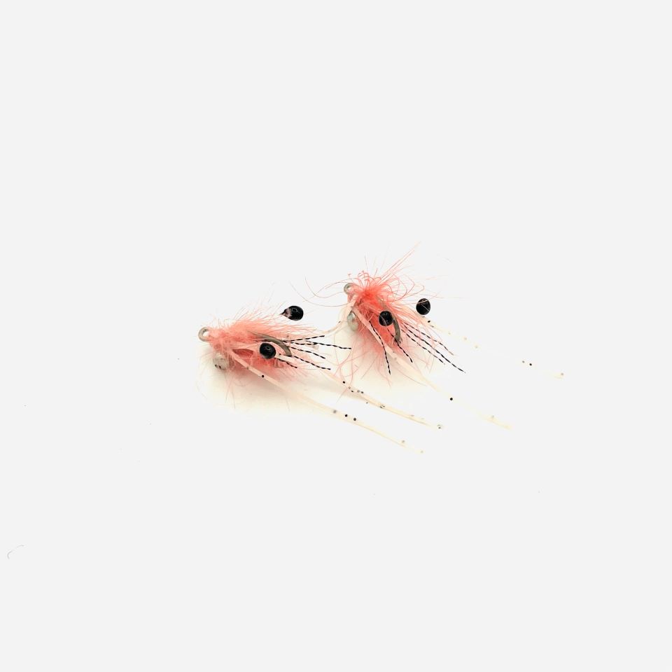 Mouche bernard cdc ghost rose exo guadeloupe