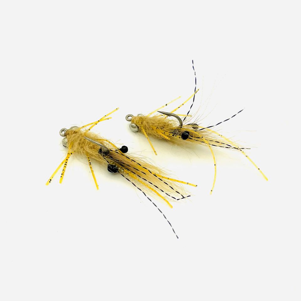 Manthis fly mouches bernard