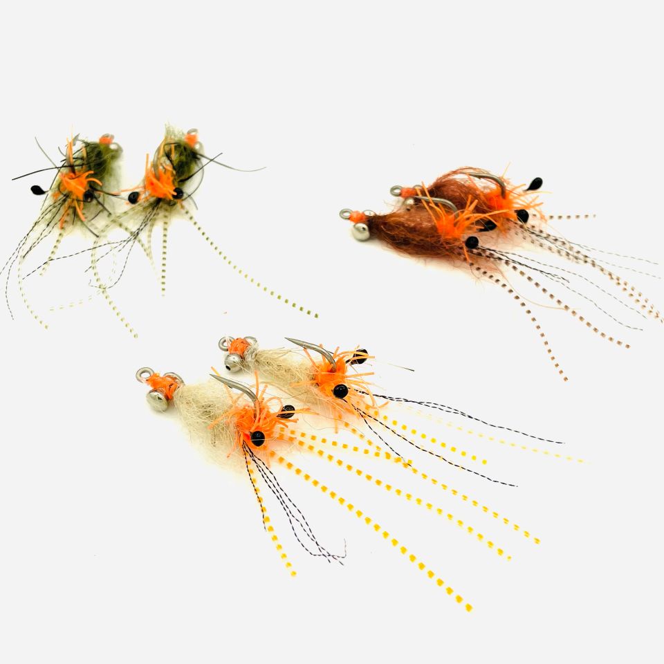 Mouche Bernard Spawn shrimp exo Guadeloupe