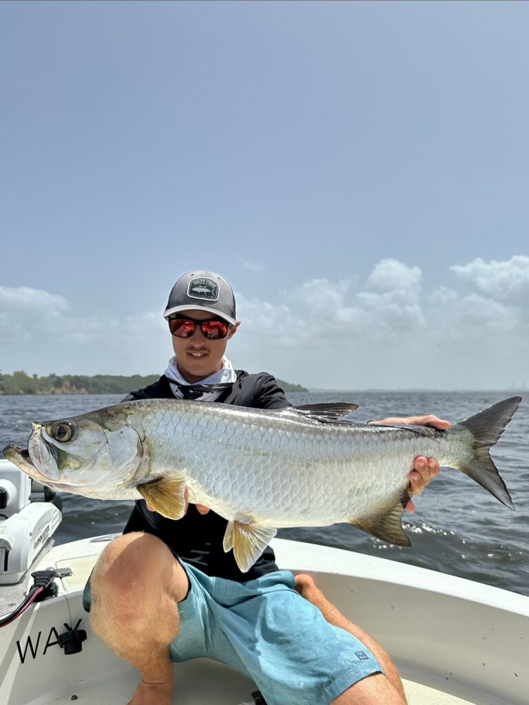 tarpon guadeloupe julien guide pêche
